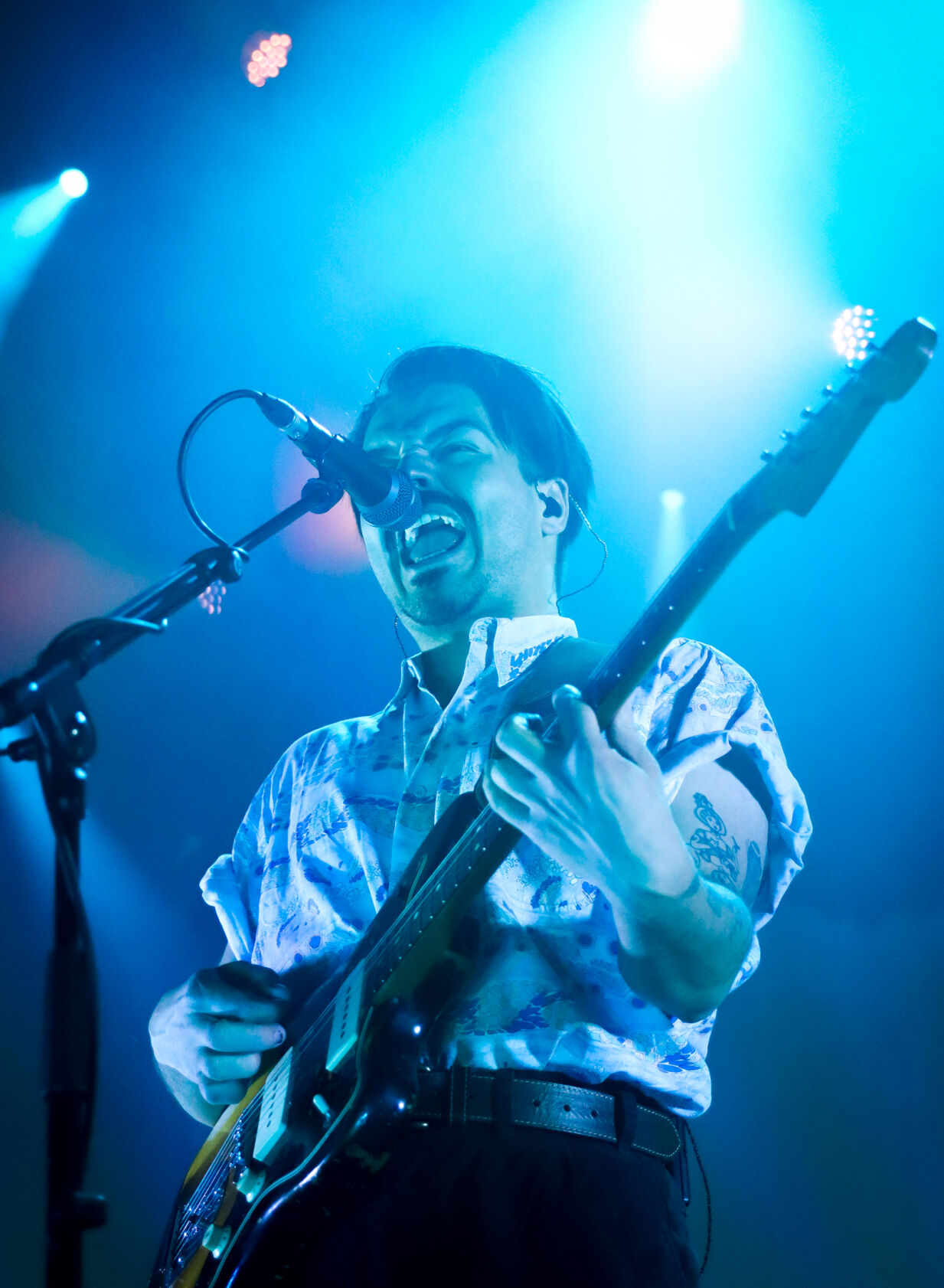 Ibarra_MilkyChance10.jpg